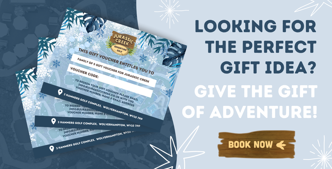 CHRISTMAS Gift Voucher Pop Up